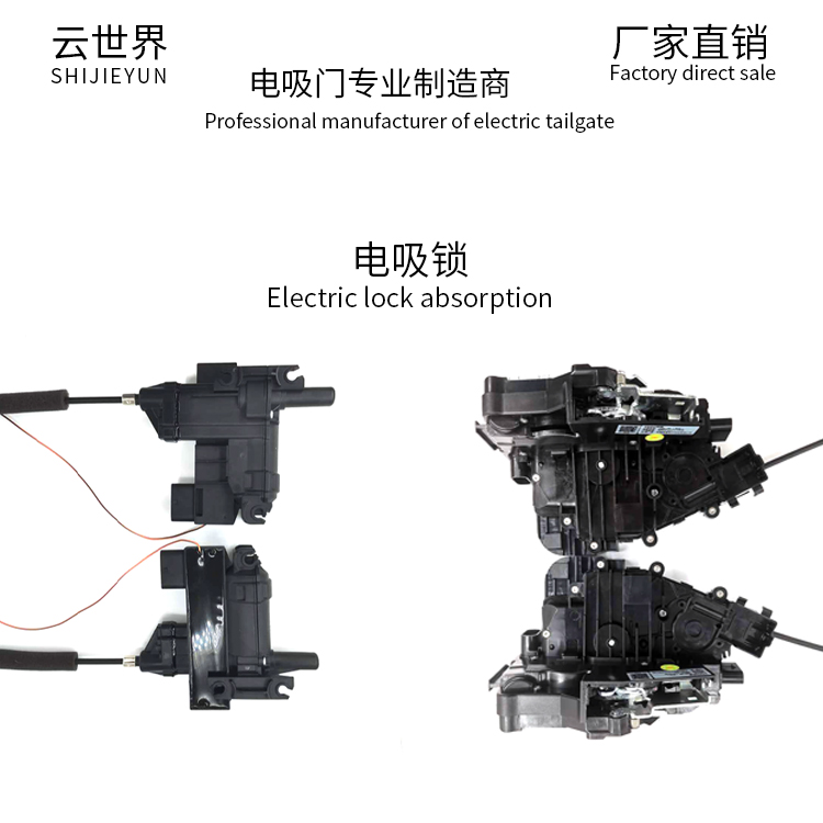 Tesla electric suction door-026